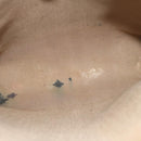 GUCCI GG Plus Supreme Web Sherry Line Tote Bag Beige Red Green Auth ti1464-11