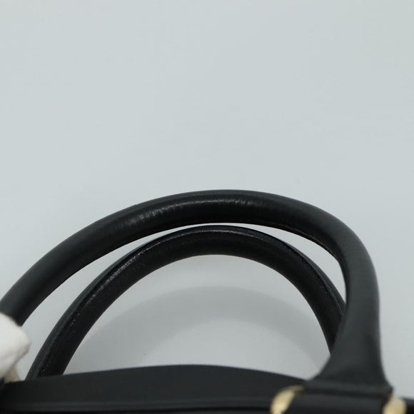 BURBERRY Golf Hand Bag Nylon Black Auth ti2520