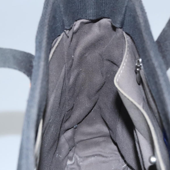 BURBERRY Tote Bag Canvas Black Auth ti2661