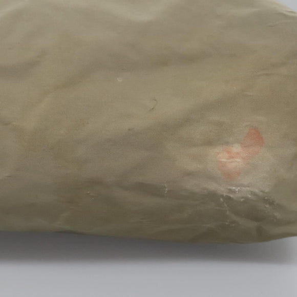 BURBERRY Blue Label Shoulder Bag Nylon 2way Beige Auth ti2857