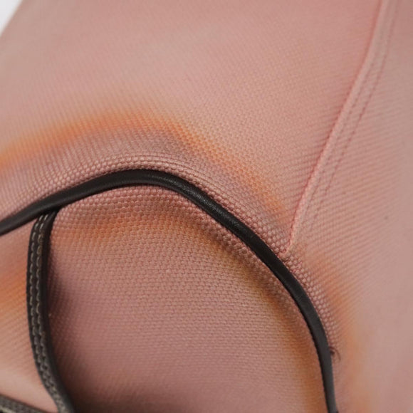 BURBERRY Blue Label Hand Bag Canvas Pink Auth ti2936