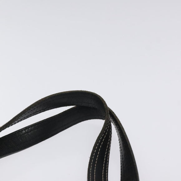 BURBERRY Hand Bag Canvas Black Silver Auth ti3087