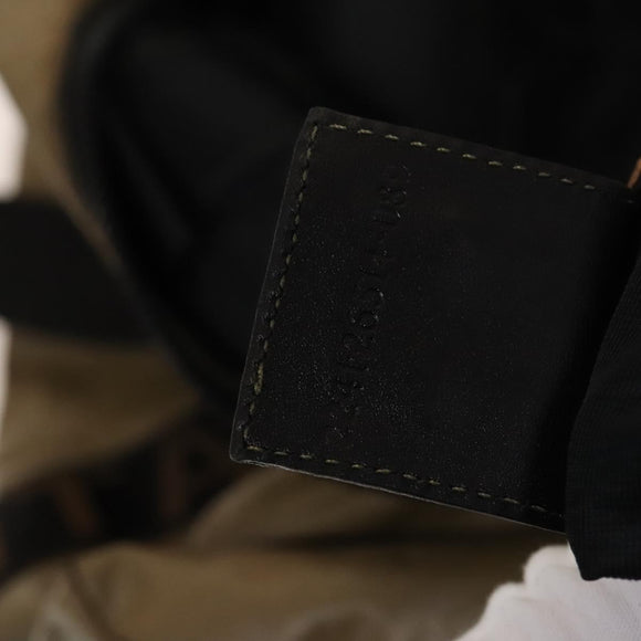 FENDI Boston Bag Nylon Brown Gold Auth ti3112