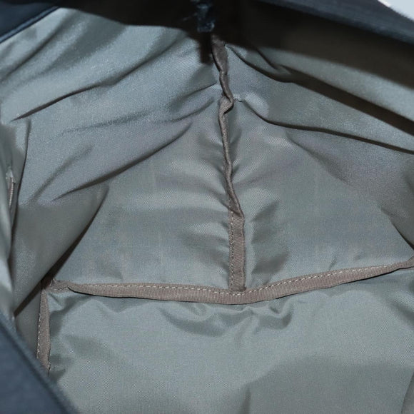 BURBERRY Blue Label Nova Check Tote Bag Nylon Gray Auth ti3408