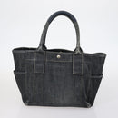 BURBERRY Nova Check Blue Label Bag Canvas nylon 5Set Beige Gray blue Auth ti3451-14