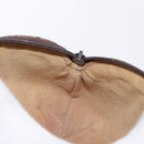 GUCCI GG Canvas Pouch PVC Leather Beige Gold 378 039 4492 Auth ti3588-17