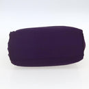 PRADA Hand Bag Nylon Purple Gold Auth ti3637-5