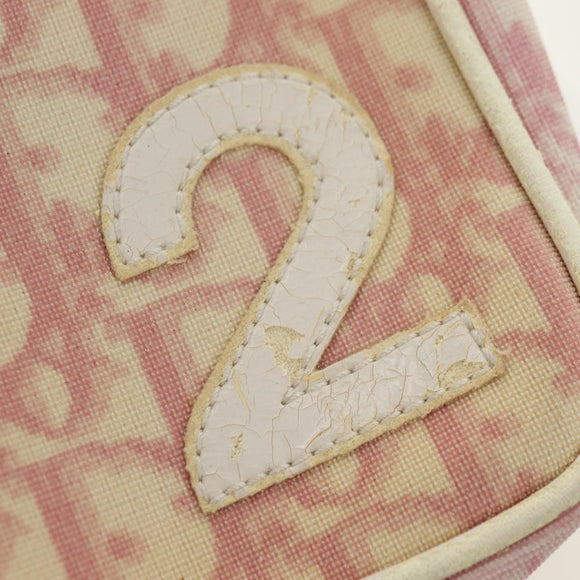 Christian Dior Trotter Canvas Etui PVC Roze Zilver Auth ti3758