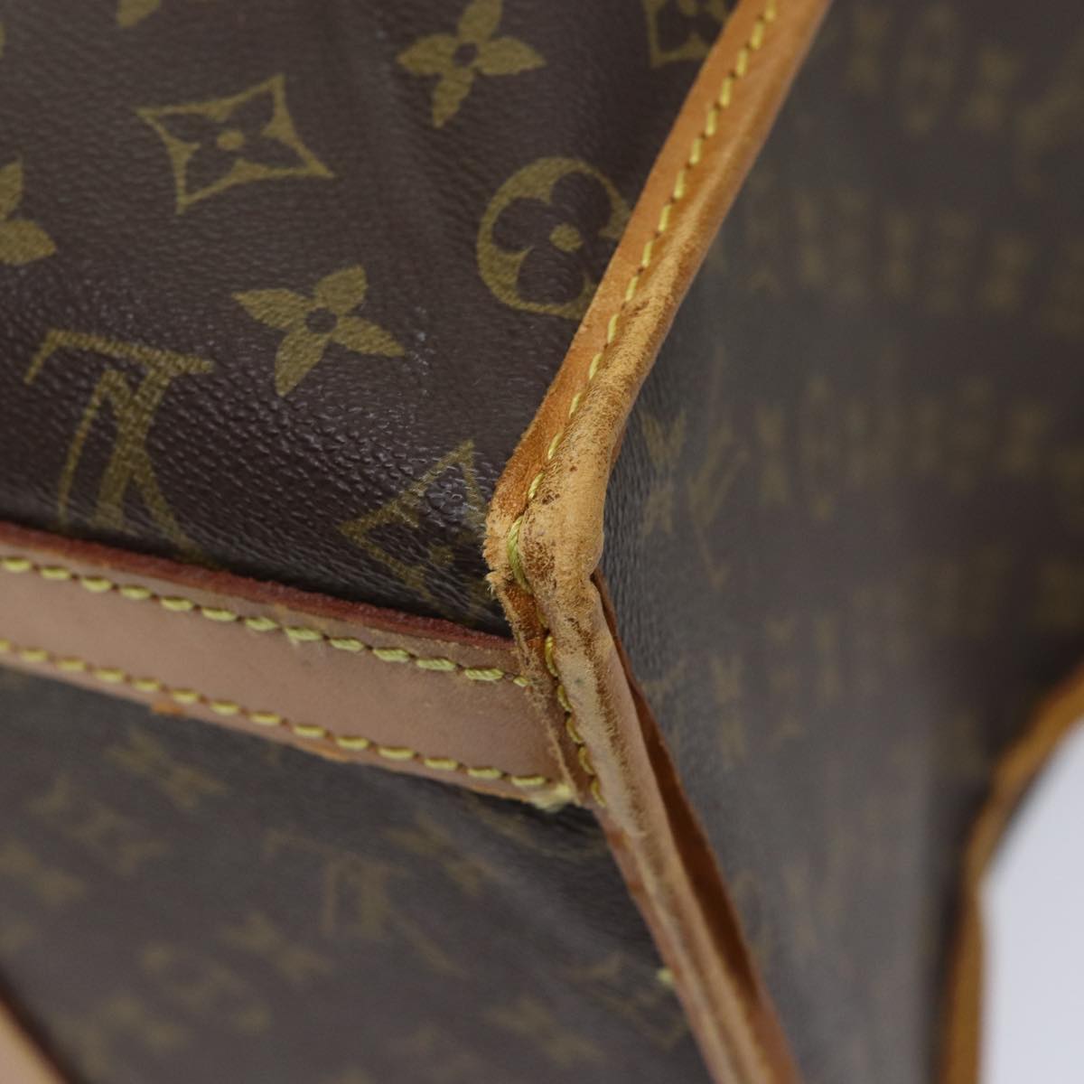 LOUIS VUITTON Monogram Sac Shan 50 Pet Carry M42021 LV Auth yk11551