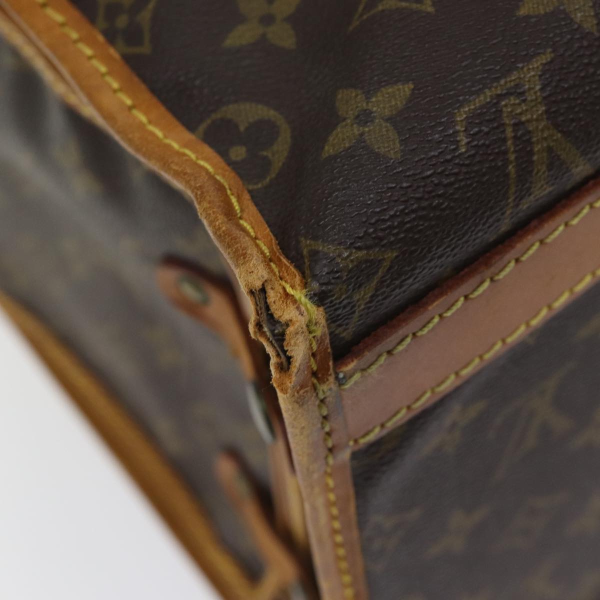 LOUIS VUITTON Monogram Sac Shan 50 Pet Carry M42021 LV Auth yk11551