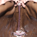 Burberrys Nova Check Pouch Canvas Beige Auth yk12082-11