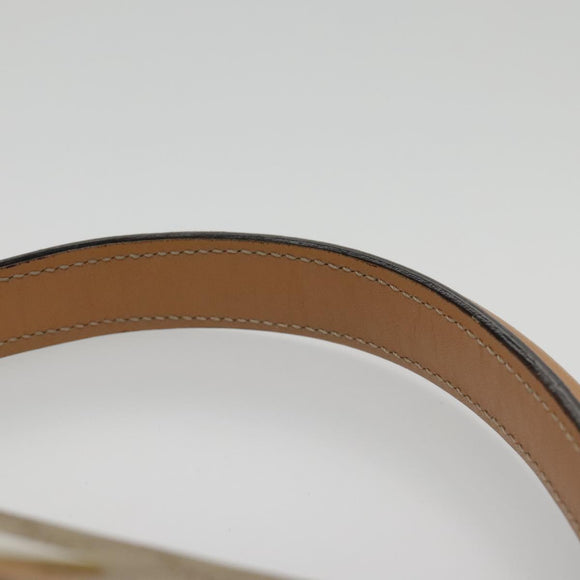 CELINE Macadam Canvas Hand Bag Coated Canvas Beige Auth yk15582V