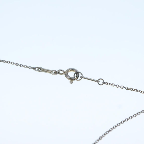 TIFFANY&Co. Eternal Circle Necklace Ag925 Silver tone Auth yk16202