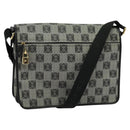 LOEWE Anagram Shoulder Bag PVC Leather Gray Gold Auth yk18093-1