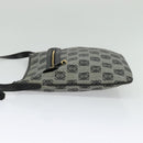 LOEWE anagram Shoulder Bag PVC Gray Gold Auth yk18308-3