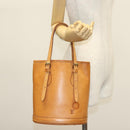 LOUIS VUITTON Nomad Leather Bucket PM Shoulder Bag Beige M85001 LV Auth yk19293-22