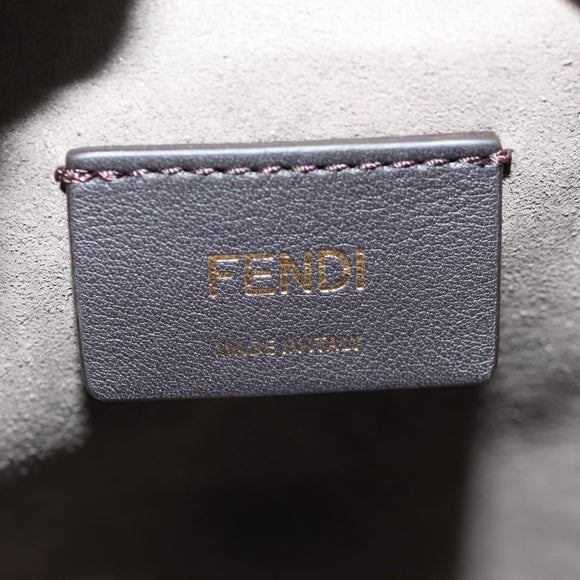 FENDI Zucca Canvas Mini Montrezor Hand Bag 2way Multicolor Gold Auth yk19350M