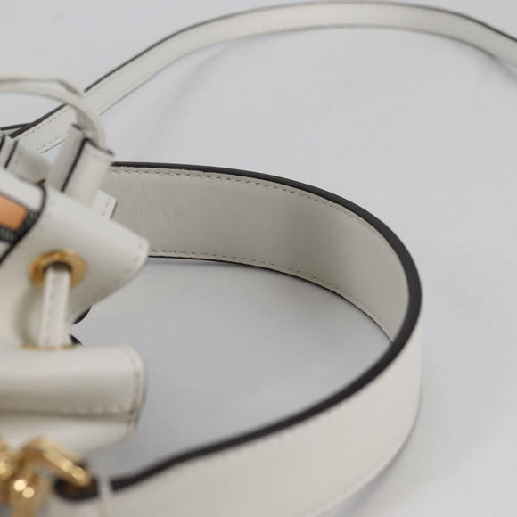 FENDI Zucca Canvas Mini Montrezor Hand Bag 2way Multicolor Gold Auth yk19350M