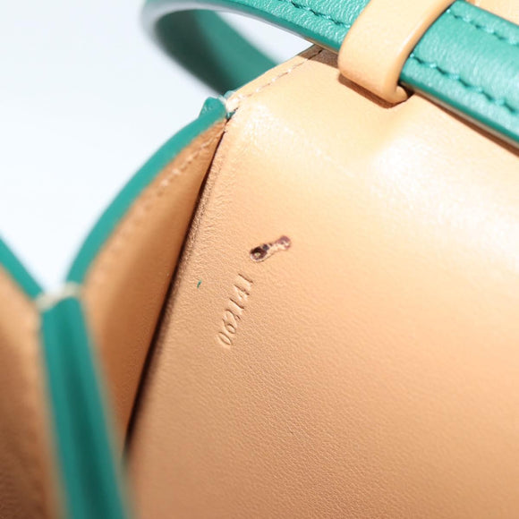 LOEWE Goya Long Shoulder Bag Leather Green Gold Auth yk19378M