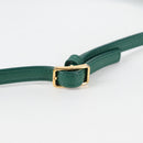 LOEWE Goya Long Shoulder Bag Leather Green Gold Auth yk19378M-8