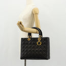 Christian Dior Canage Hand Bag Lamb Skin Black Gold Auth yk19627V-24
