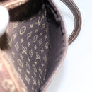LOUIS VUITTON Monogram Mini Lin Danube Shoulder Bag Ebene M95228 LV Auth yk19789-22