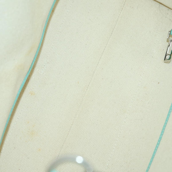 TIFFANY&Co. Hand Bag Canvas 2way White Silver Auth yk19846