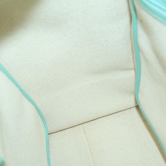 TIFFANY&Co. Hand Bag Canvas 2way White Silver Auth yk19846