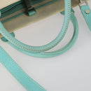 TIFFANY&Co. Hand Bag Canvas 2way White Silver Auth yk19846-8