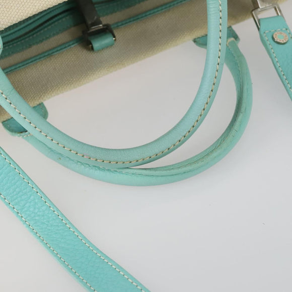 TIFFANY&Co. Hand Bag Canvas 2way White Silver Auth yk19846