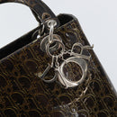 Christian Dior Trotter Canvas Hand Bag Enamel 2way Brown Silver Auth yk20020-19