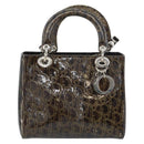 Christian Dior Trotter Canvas Hand Bag Enamel 2way Brown Silver Auth yk20020-13