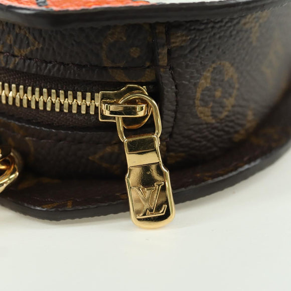 LOUIS VUITTON Monogram Sun Yitian Wallet On Chain Leopard Bag LV Auth YKZ1015SM