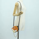 LOUIS VUITTON Monogram Sun Yitian Wallet On Chain Leopard Bag LV Auth YKZ1015SM-26