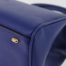 CELINE Hand Bag Leather Blue Gold Auth YKZ1208-16