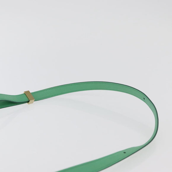 CELINE Classic Box Shoulder Bag Leather Green Gold Auth YKZ1239A