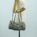 Christian Dior Trotter Canvas Romantic Chain Bag PVC Light Blue Auth YKZ1362SAV-23