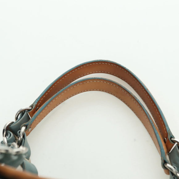 Christian Dior Trotter Canvas Romantic Chain Bag PVC Light Blue Auth YKZ1362SAV