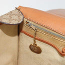 CELINE Macadam Canvas Shoulder Bag PVC Beige Gold Auth YKZ1474-22