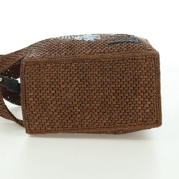 LOEWE Font Tote Small Suna Fujita Collaboration Bag Raffia 2way Auth YKZ1552SAM