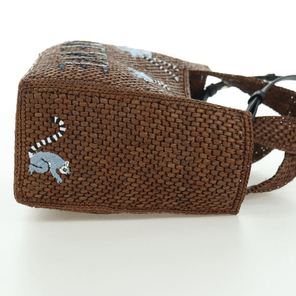 LOEWE Font Tote Small Suna Fujita Collaboration Bag Raffia 2way Auth YKZ1552SAM