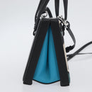 LOEWE Postal Hand Bag Leather 2way Black Silver Auth YKZ578A-4