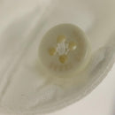 MARINE SERRE Long Sleeved T Shirt Cotton White Auth ym056M-3