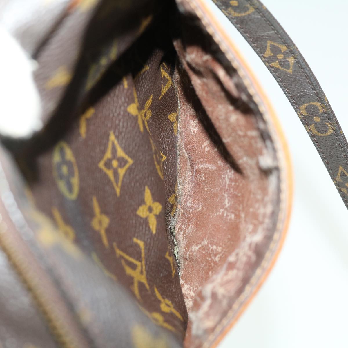 LOUIS VUITTON Monogram Danube Shoulder Bag M45266 LV Auth 30708