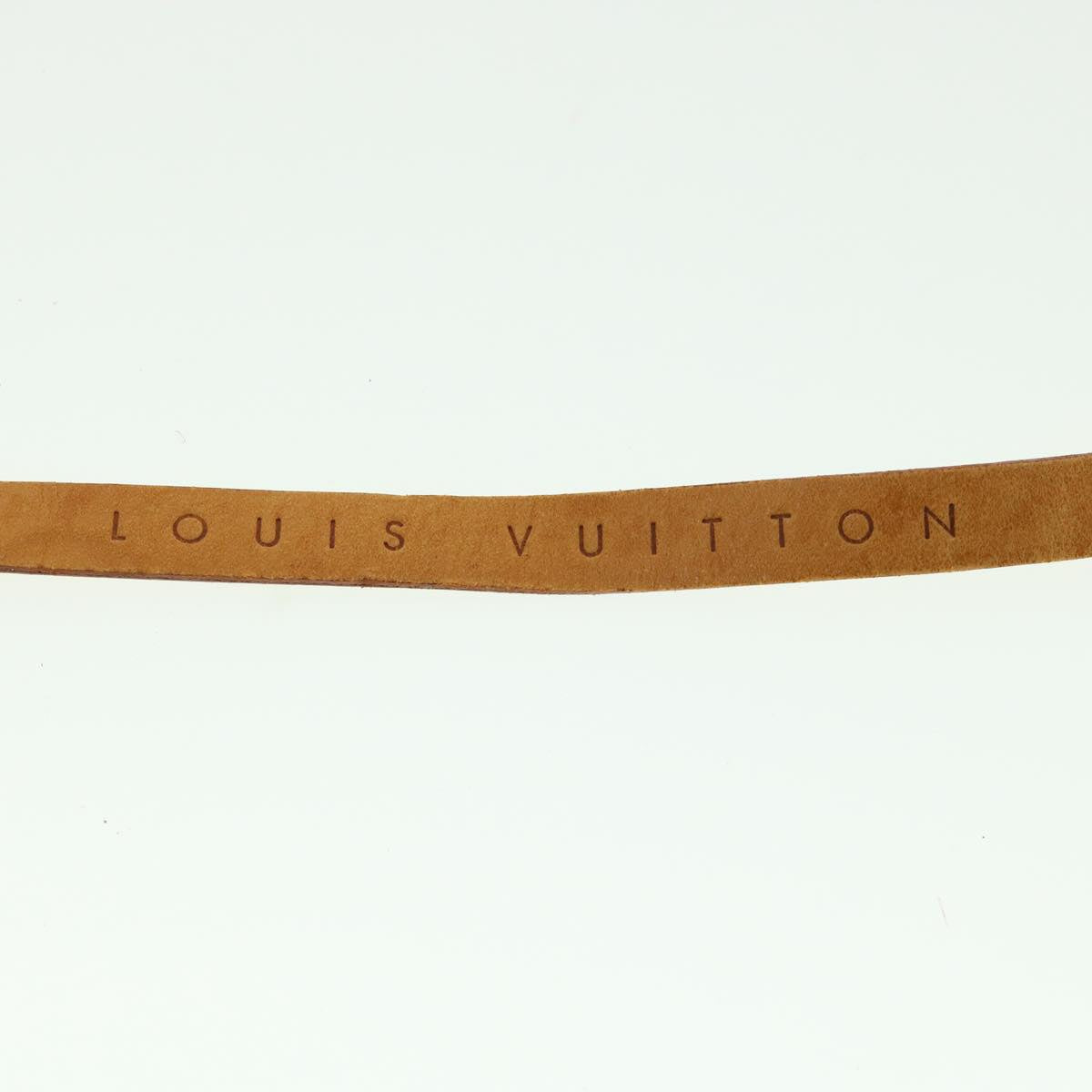 LOUIS VUITTON Monogram Pochette Florentine Waist Bag N51856 LV Auth 30862