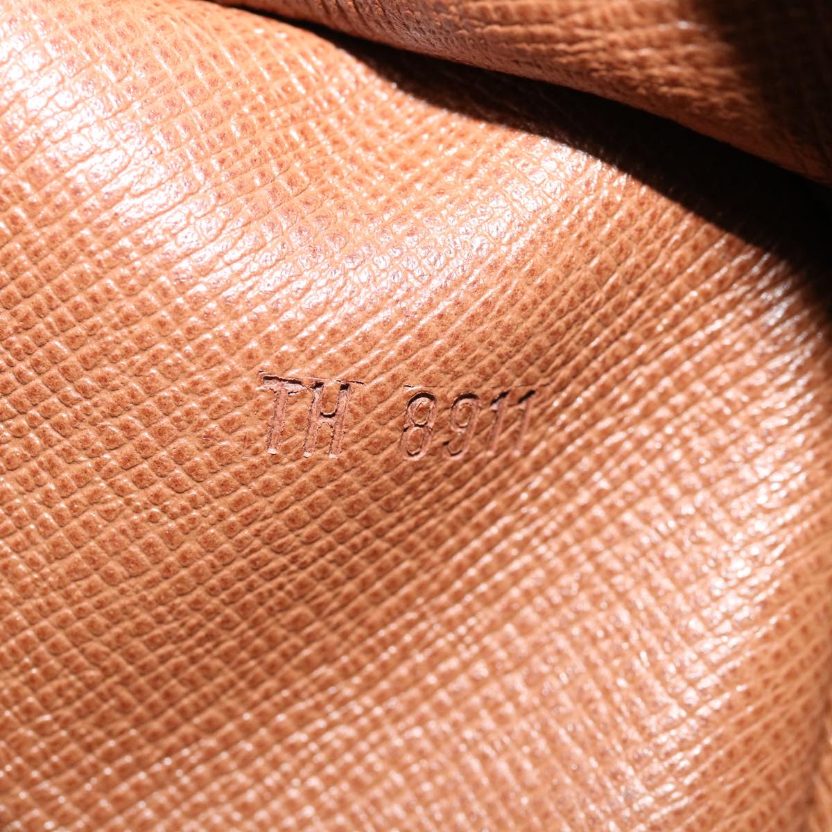 LOUIS VUITTON Monogram Nile GM Shoulder Bag M45242 LV Auth 35444