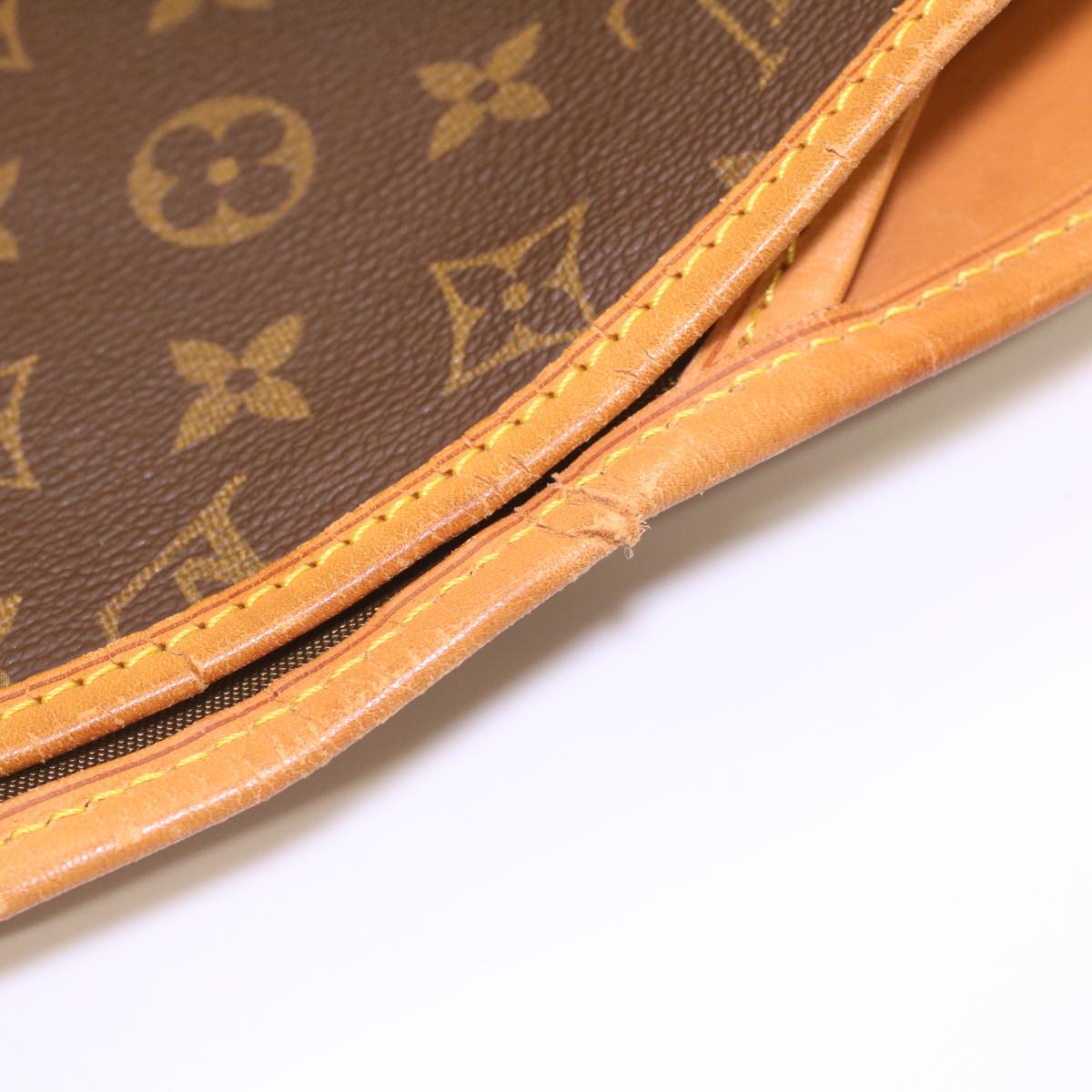 LOUIS VUITTON Monogram Housse Porte Habits Garment Cover M23434 LV Auth 37761