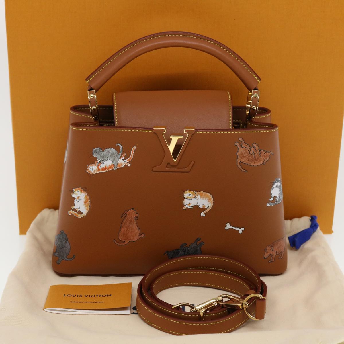 LOUIS VUITTON Catgram Capsine BB Hand Bag 2way Brown M53185 LV Auth 42827A