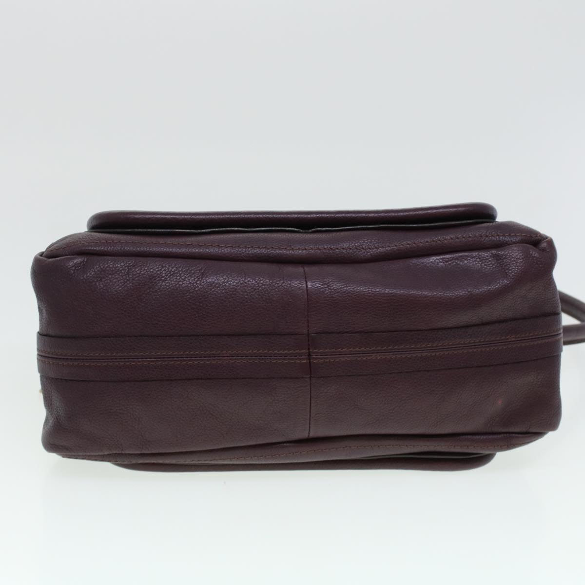 Chloe Paraty Hand Bag Leather Purple 02-12-50-65 Auth 44039