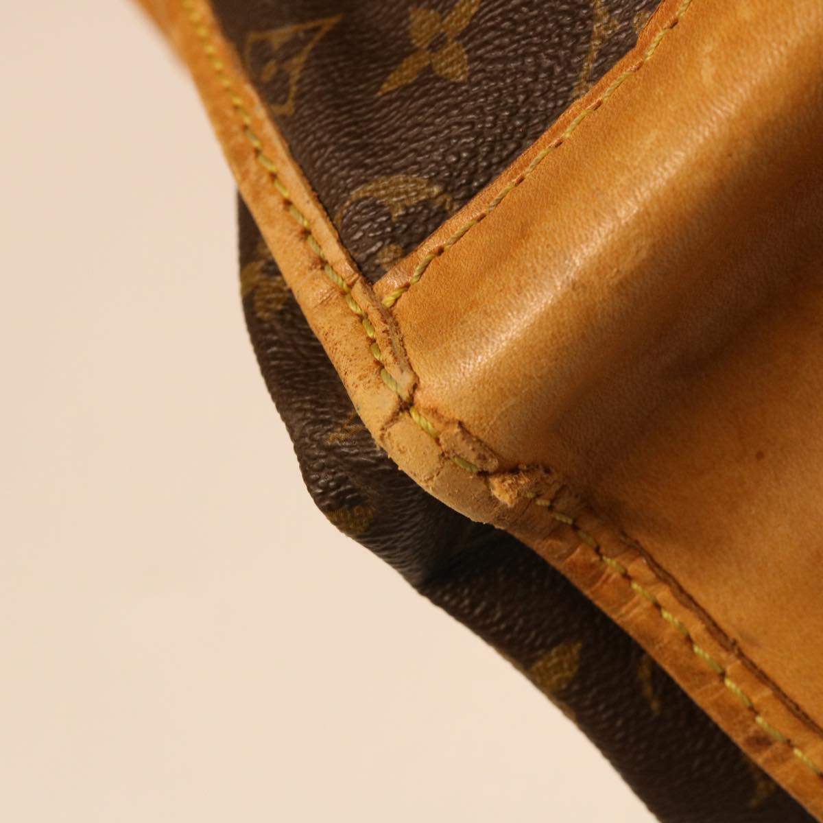 LOUIS VUITTON Monogram Carry Suter Garment Cover M23522 LV Auth 51164